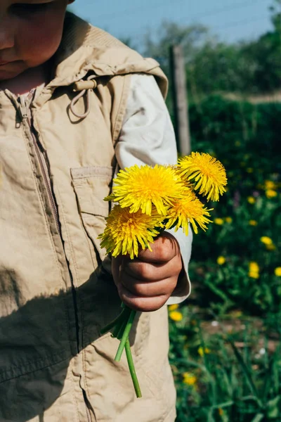 Boeket Van Paardebloemen Handen Van Kinderen Handen Met Een Paardebloem — Stockfoto