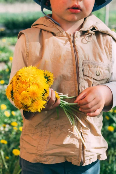 Boeket Van Paardebloemen Handen Van Kinderen Handen Met Een Paardebloem — Stockfoto