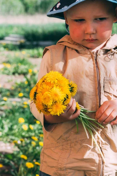 Boeket Van Paardebloemen Handen Van Kinderen Handen Met Een Paardebloem — Stockfoto