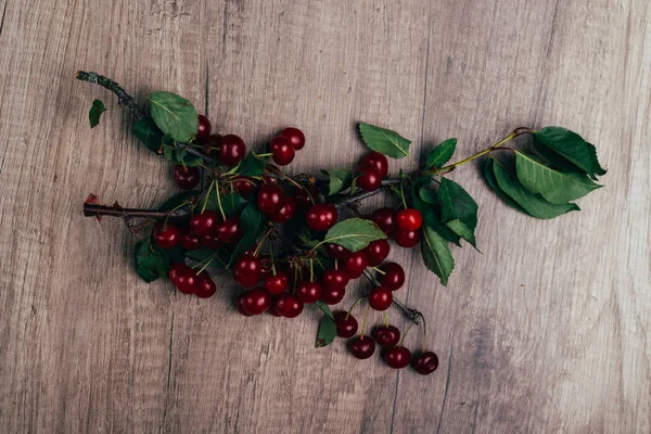 summer gifts. a fresh branch of a cherry tree with green leaves and red fruits, cherries lying on a wooden table, on a wooden background. Protect the environment. proper nutrition. place for text