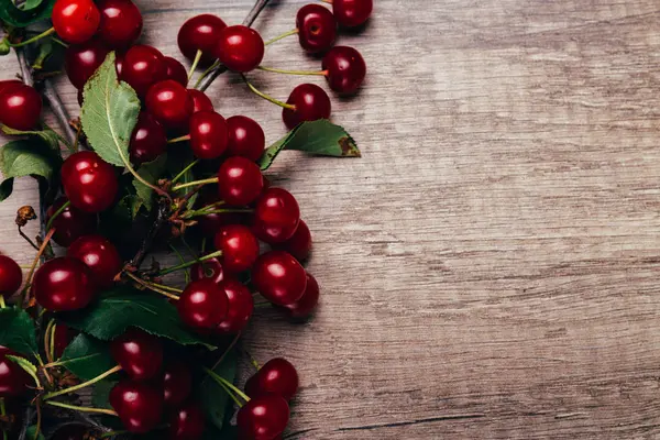 summer gifts. a fresh branch of a cherry tree with green leaves and red fruits, cherries lying on a wooden table, on a wooden background. Protect the environment. proper nutrition. place for text