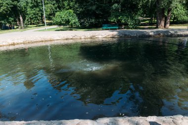 biri yeşil bir olta su, balık, yakalar balık üzerinde tutar. çeker balık shore.pecked için