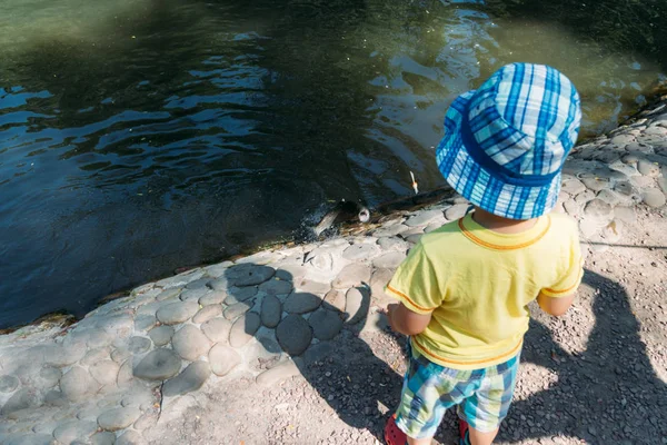 Çocuk sahilde duran ve balık lake.fishing dışarı alınır izliyor