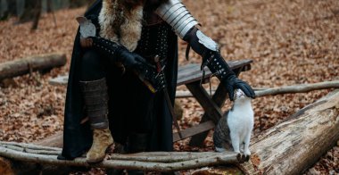 Ortaçağ knight ile kılıç zırh ormanın içinde. Sonbahar yakınındaki river.stroking bir adam zırh, bir kurt pelerin ile yakın oturur bir kedi. kostüm oyunları