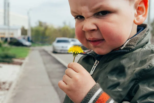 一个男孩在街上的肖像 嗅到蒲公英 红脸颊 对花粉的过敏反应 流鼻涕 那孩子皱起了鼻子 — 图库照片