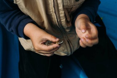 bir çocuğun elinde bir böcek. Çocuk bir Mayıs böceği, doğada, bir horsetail.rural child.child kirli eller doğa eğitimi almıştır. böceklerin dünya keşfetmek
