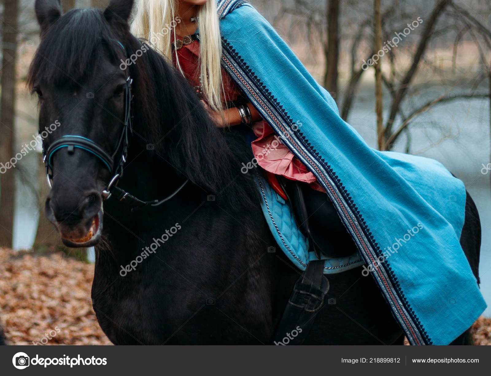 Girl Long Hair Blonde Hair Sits Back Black Horse Blue Stock