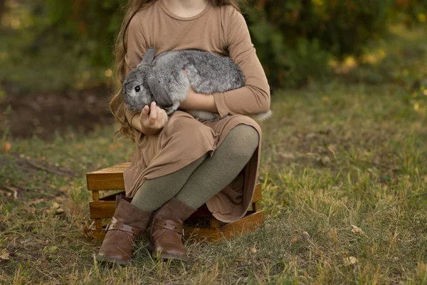 Grå Kanin Sitter Flickan Hennes Armar Sittande Glänta Med Grönt — Stockfoto