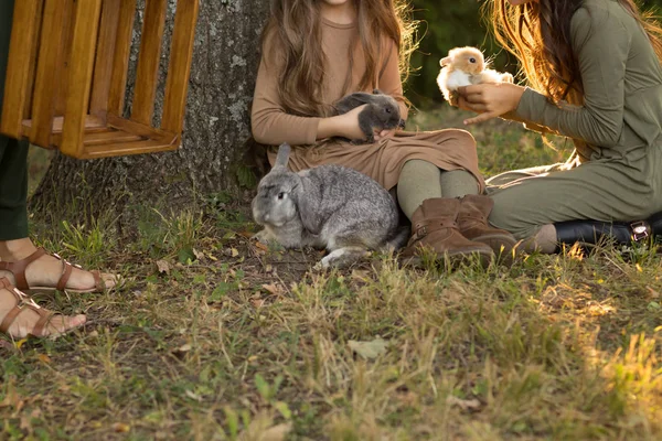 Duas Meninas Estão Sentadas Sob Uma Árvore Grama Acariciando Coelhos — Fotografia de Stock