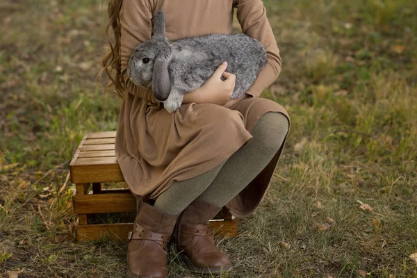 a gray rabbit is sleeping in the arms of a girl sitting on the grass.a gray rabbit is sleeping with a girl in her arms, sitting on a grass. brown hair and a brown dress.