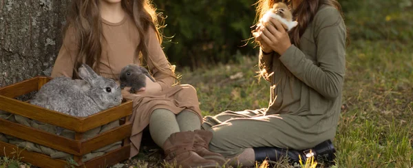 Две Девочки Сидят Деревом Траве Гладят Маленьких Кроликов Держа Большого — стоковое фото