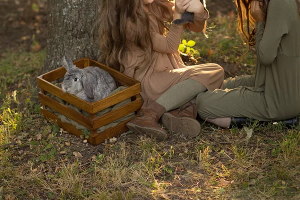 Iki Kız Bir Ağacın Altında Çimlere Oturup Bir Kutu Içinde — Stok fotoğraf
