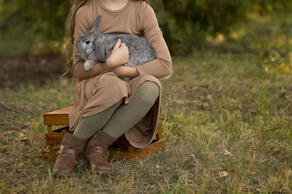 Grå Kanin Sover Armarna Flicka Sitter Den Grass Grå Kanin — Stockfoto