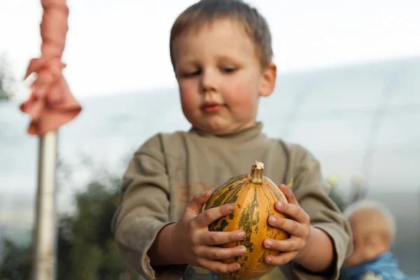 Smiling boy standing with big yellow pumpkin in hands.boy with pumpkin.the boy is holding a pumpkin