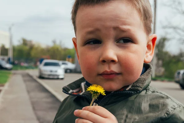 sad boy sniffs dandelion, spring.children\'s psychological trauma. unhappy child