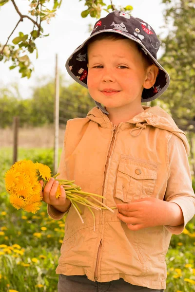 Boeket van paardebloemen in handen van de kinderen. handen met een paardebloem bloemen boeket in de weide. Selectieve aandacht. — Stockfoto