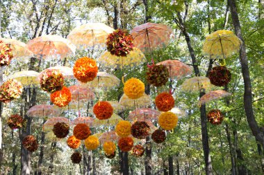 Sonbahar Orman, park, sokak, sarı ve turuncu yaprakları ile birçok şemsiye nerede kalıyor. gökyüzü ve sonbahar foliage.pompons sarı ve turuncu karşı