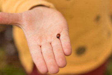 Childs'ın kolu tüylerimi diken diken üzerinde kırmızı, beyaz, benekli uğur böceği, istiyor çıkarmak için