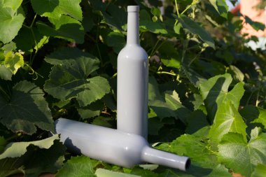 iki gri şişe arka planda üzüm yaprakları, yapraklarda sokağın içinde. bağ şehir dışında. doğal üretim. Evde şarap.