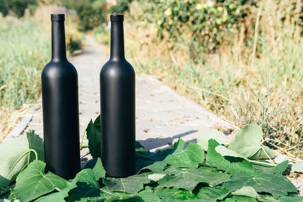 two black wine bottles, stand on green, grape leaves, on the road in the village. the back garden and the house are seen.Home wine.