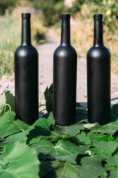 three black wine bottles, stand on green, grape leaves, on the road in the village. the back garden and the house are seen.Home wine.