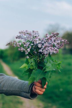Leylak doğa, köy yolunda zemin karşı elinde buket. köy, bir adam bir buket verir.