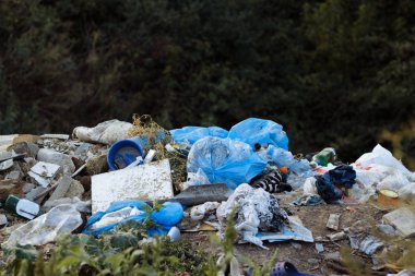 Parkı, ağaçlar, doğa kirliliği atık dökümü. Ormanın ortasında Ecology.trashcan