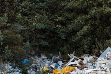 Parkı, ağaçlar, doğa kirliliği atık dökümü. Ormanın ortasında Ecology.trashcan