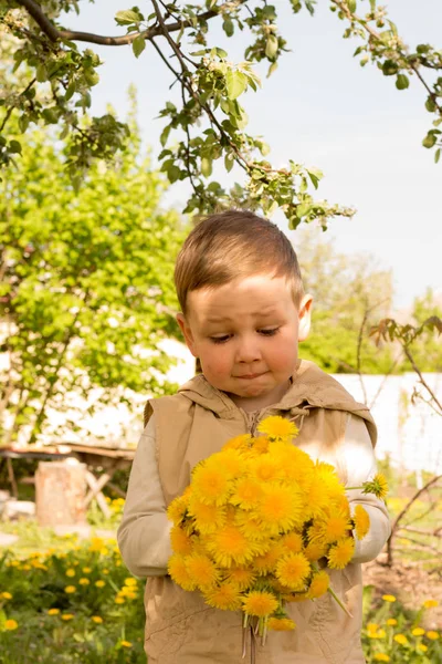 Een Kleine Jongen Houdt Een Groot Boeket Van Gele Paardenbloemen — Stockfoto