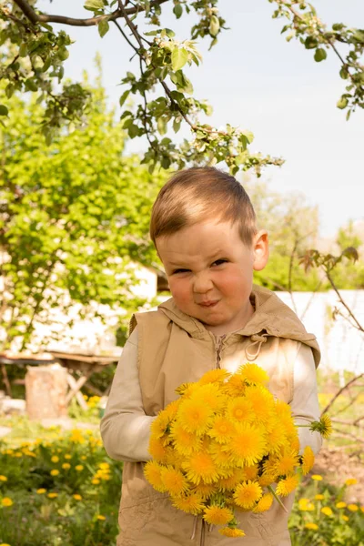 一个小男孩拿着一大束黄色的蒲公英 一脸苦相 这是送给他母亲的礼物 — 图库照片