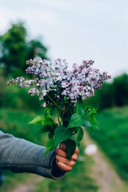 Leylak doğa, köy yolunda zemin karşı elinde buket. köy, bir adam bir buket verir.