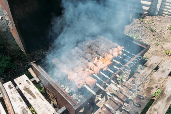 金属串上的烤小鱼烤肉串 用大量的烟雾煮烤肉烧烤 新鲜牛肉片 传统的东方菜木炭和火焰 街头食品 — 图库照片