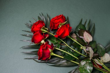 Yeşil background.celebration bahar mevcut annelerin kırmızı gül