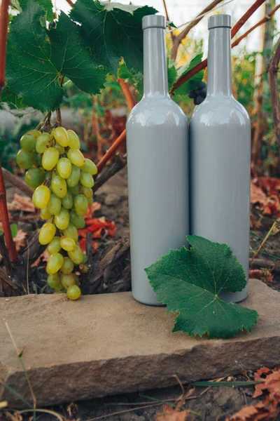Due bottiglie grigie di vino si trovano a terra accanto all'uva, foglie verdi e una vite. campagna, prodotto naturale — Foto Stock