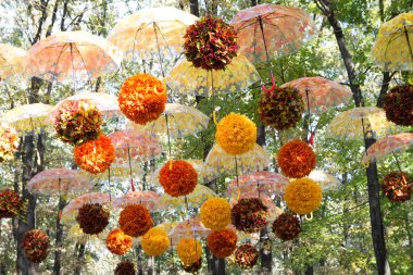 Sonbahar Orman, park, sokak, sarı ve turuncu yaprakları ile birçok şemsiye nerede kalıyor. gökyüzü ve sonbahar foliage.pompons sarı ve turuncu karşı