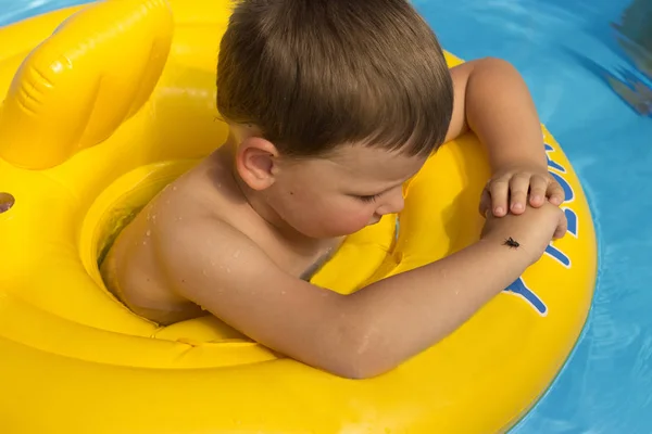 Roztomilý a legrační malá holčička v bazénu, koupání v nafukovací kruh, stylu života. Nafukovací kruh. V létě. Pool.Cricket uloží z vody — Stock fotografie