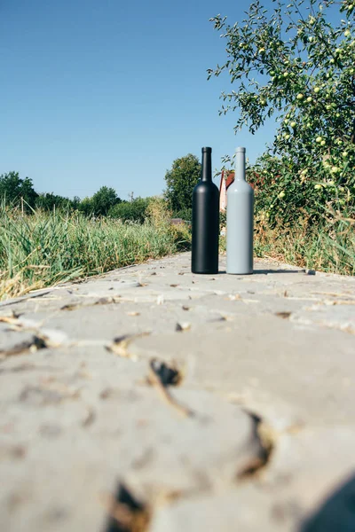 Dos botellas negras y grises en la carretera de los azulejos, el pueblo, el alcoholismo rural, la embriaguez. enfermedad alcohólica. vino bebida natural. vino — Foto de Stock