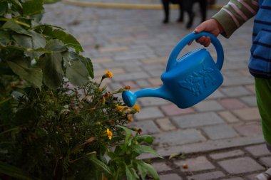 mavi bir oyuncak sulama gelen çocuk sulama çiçekler köyde yaz akşamı olabilir