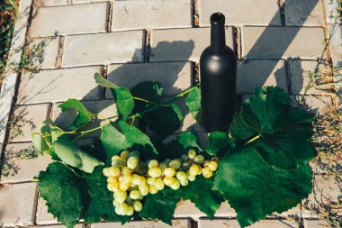 şarap standları karşı yeşil şişe üzüm bağı bırakır. asma. doğal iç, özel üzüm bağları. doğal içki, kırsal kesimde yol üzerinde duran yakın özel üzüm bağları üzümleri vardır