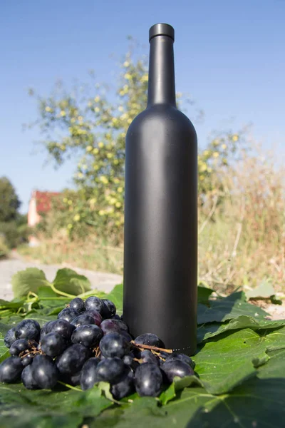 bottle of wine stands against the green leaves of the vineyard. vine. natural drink, private vineyards. natural drink, private vineyards grapes are nearby standing on the road in the countryside