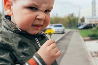 karahindiba çiçek holding küçük eller