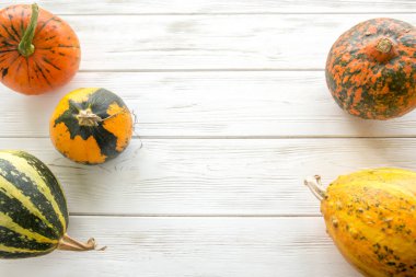 Beyaz ahşap zemin üzerinde küçük kabak