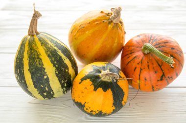 Beyaz ahşap zemin üzerinde küçük kabak