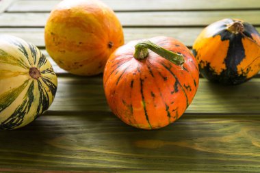 Yeşil ahşap arka plan üzerinde küçük kabak