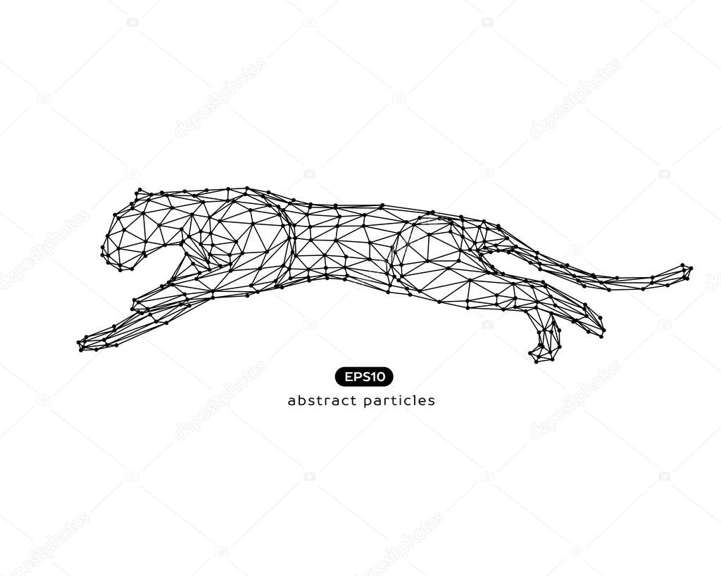 Vector abstract illustration of jumping puma. Eps 10. You can easily change color.