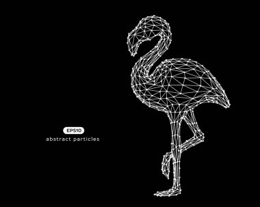 Flamingo vektör soyut çizim.