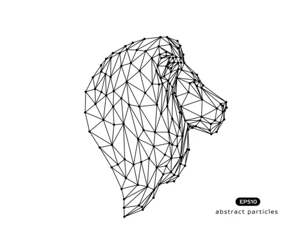 Vector abstract illustration of lion. — Stock Vector