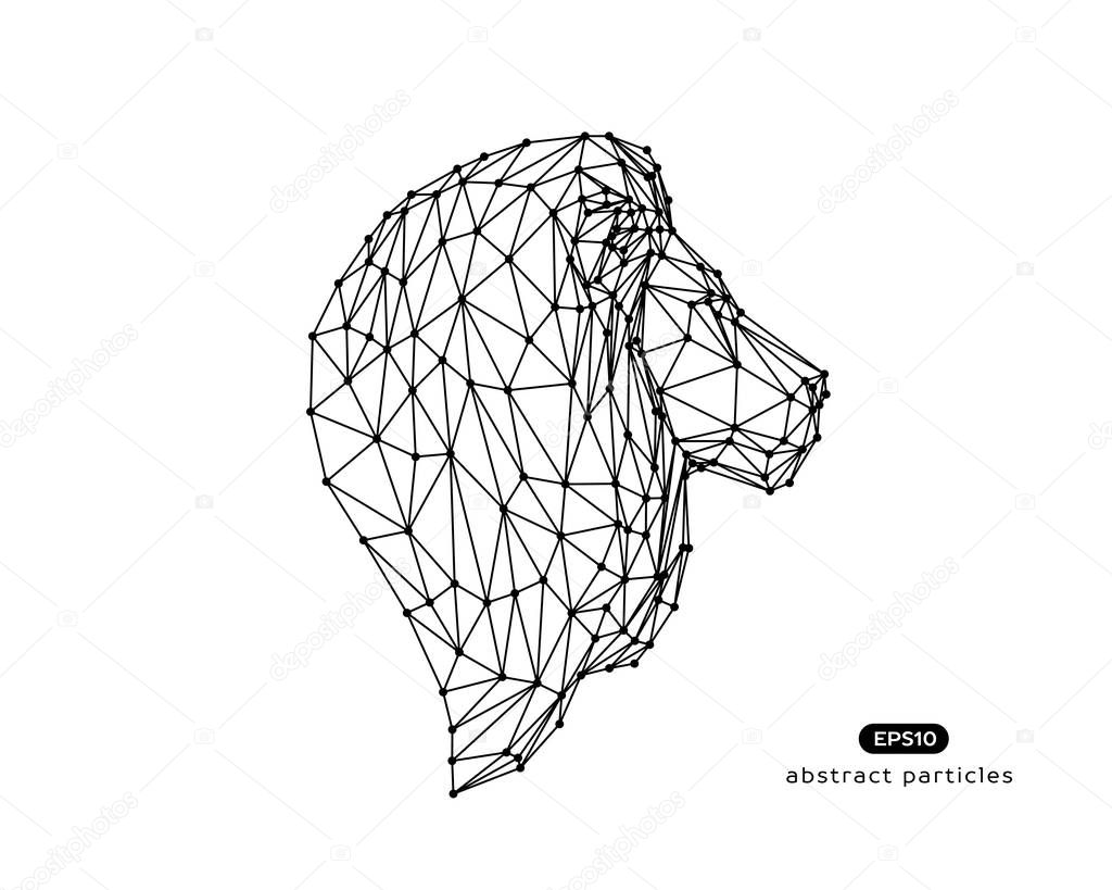 Vector abstract illustration of lion. You can easily change color.