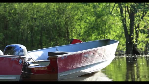 Laval Canada Riviere Des Mille Iles Park June 2018 Boat — Stock Video