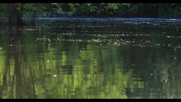 Bra Reflektioner Träd Floden Bevattnar Träd Ludd Flödande Vattnet Flod — Stockvideo